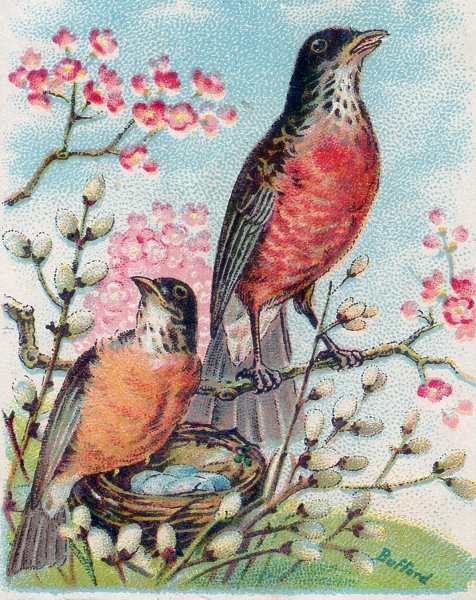 Vintage-Robins-Nest-Image-GraphicsFairy